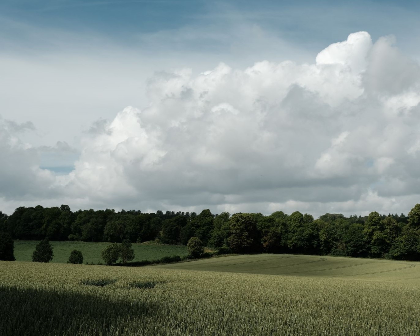 Westworld, Go West in Kodachrome Style