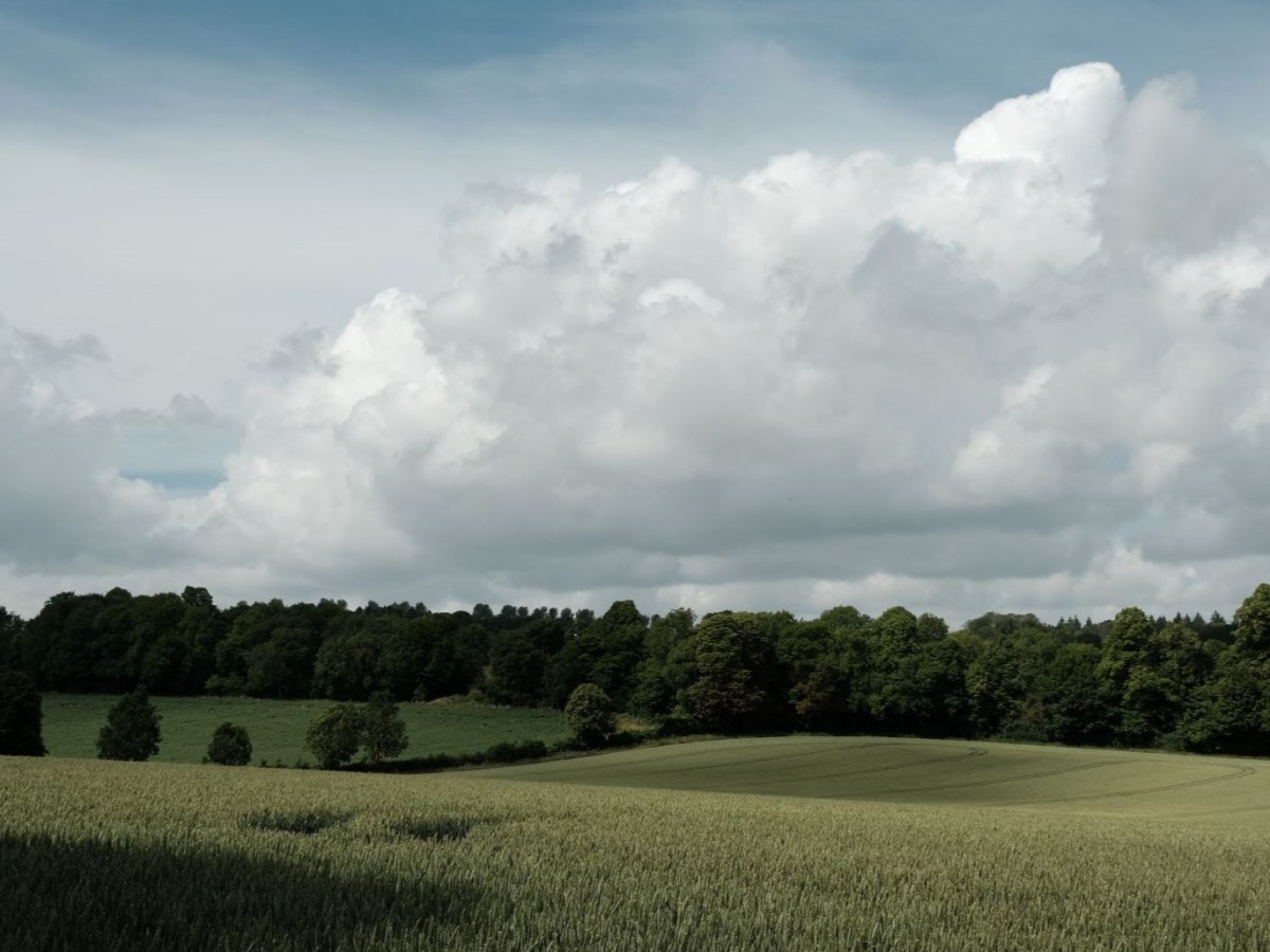 Westworld, Go West in Kodachrome&nbsp;Style