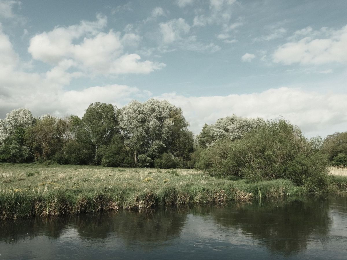 Blanko Bleach for Skies, Trees &&nbsp;Seas