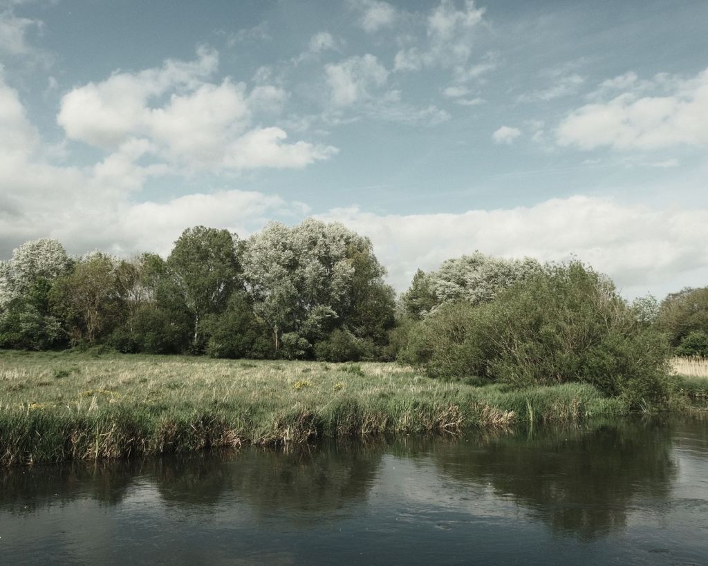 Blanko Bleach for Skies, Trees &&nbsp;Seas