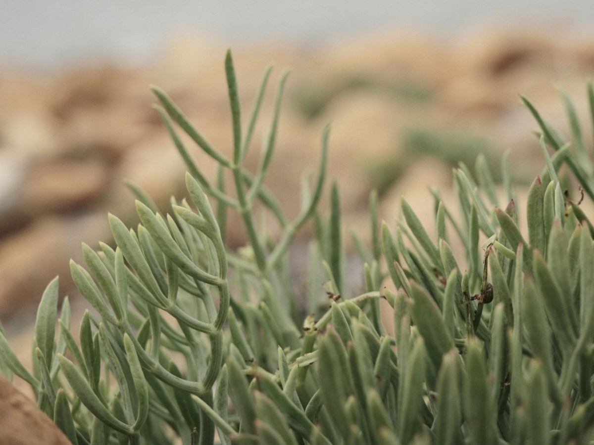 Cinematic Cool with Eterna Bleach&nbsp;Bypass