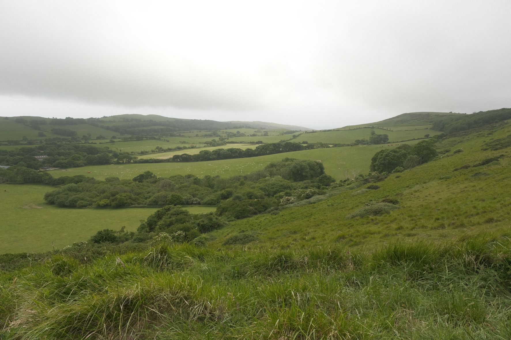 Great Plains film recipe sample photo