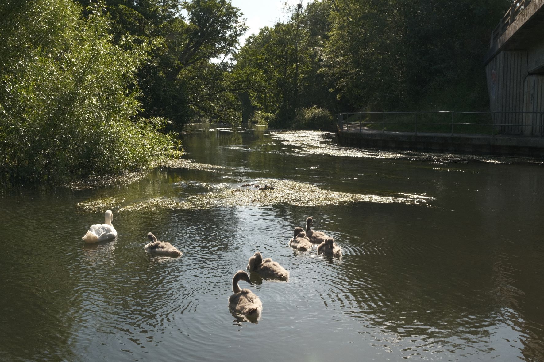 Great Plains film recipe sample photo