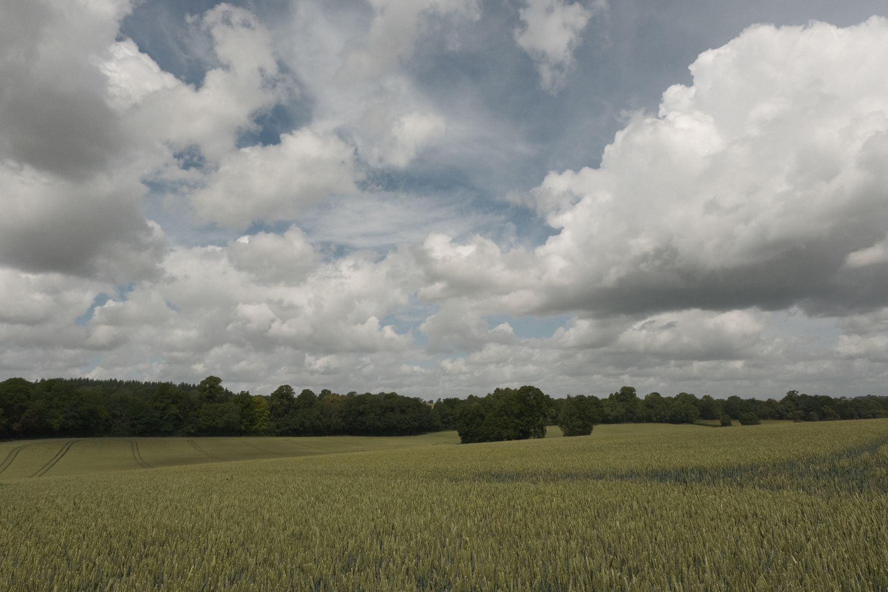 Great Plains film recipe sample photo