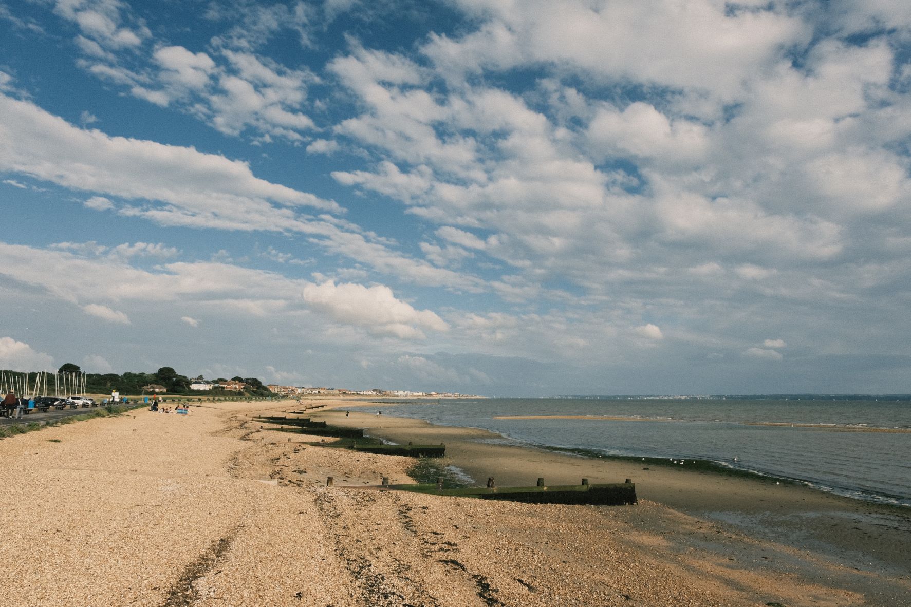 Travel Negative film recipe sample photo