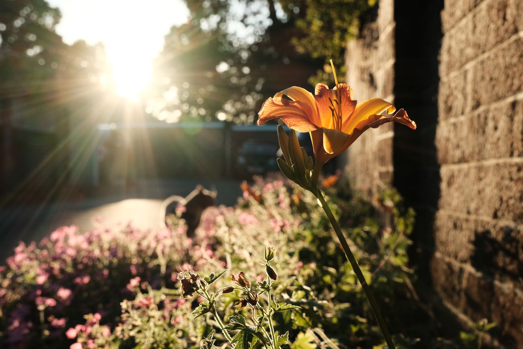 Kodak Ektar film recipe sample photo