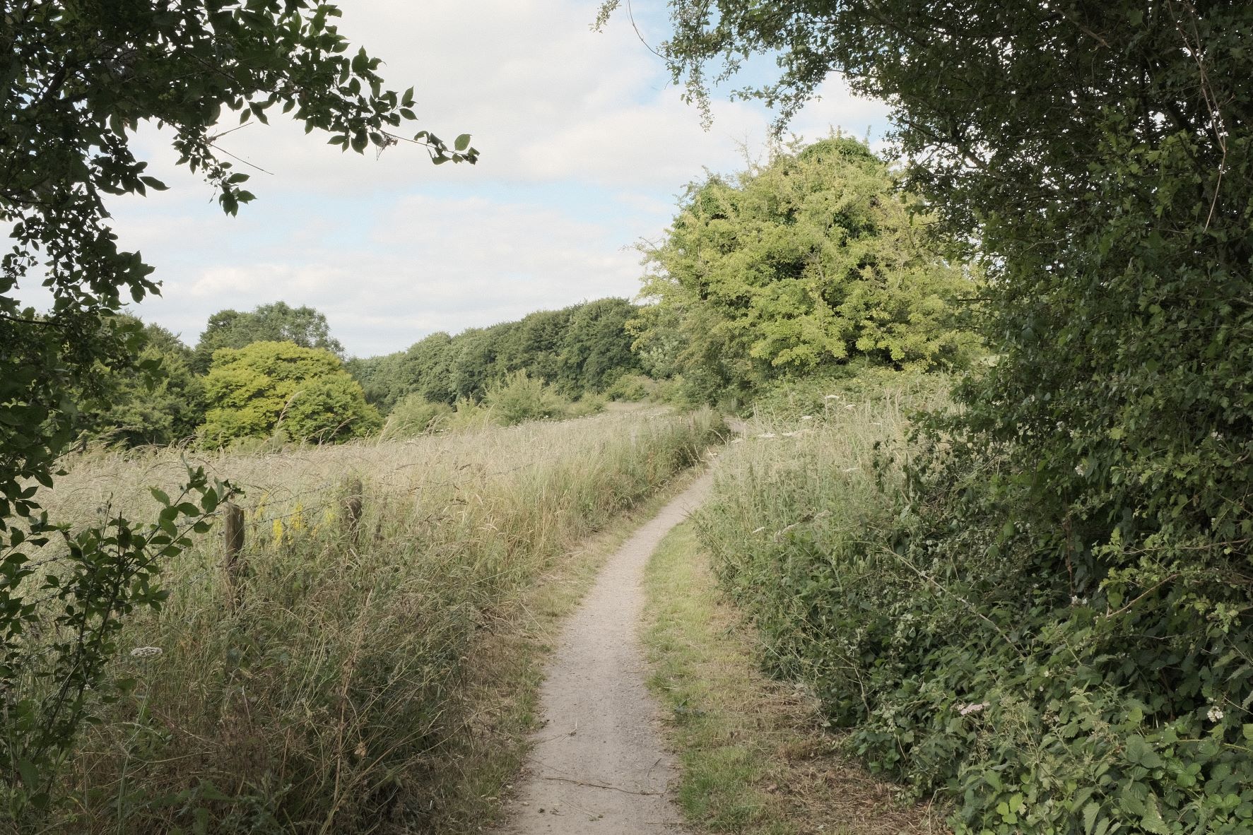 Outdoor Cinema film recipe sample photo