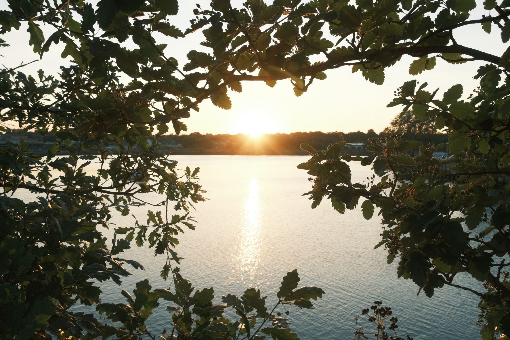 Fuji Five-O film recipe sample photo