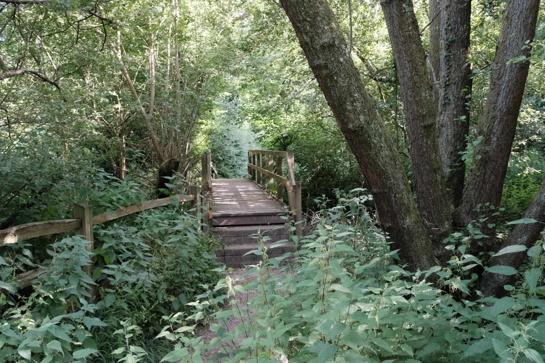 Documentary film recipe sample photo