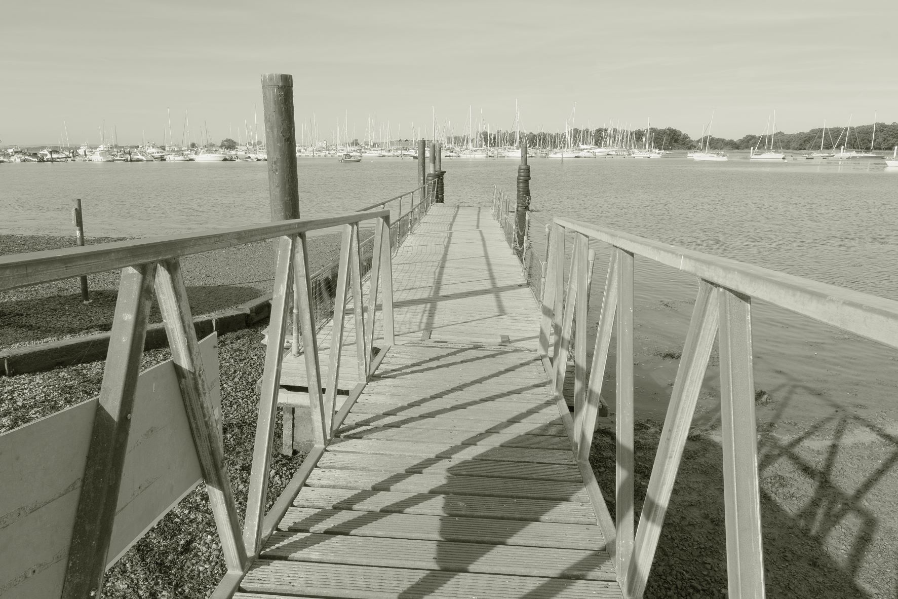 Liminal Mono film recipe sample photo