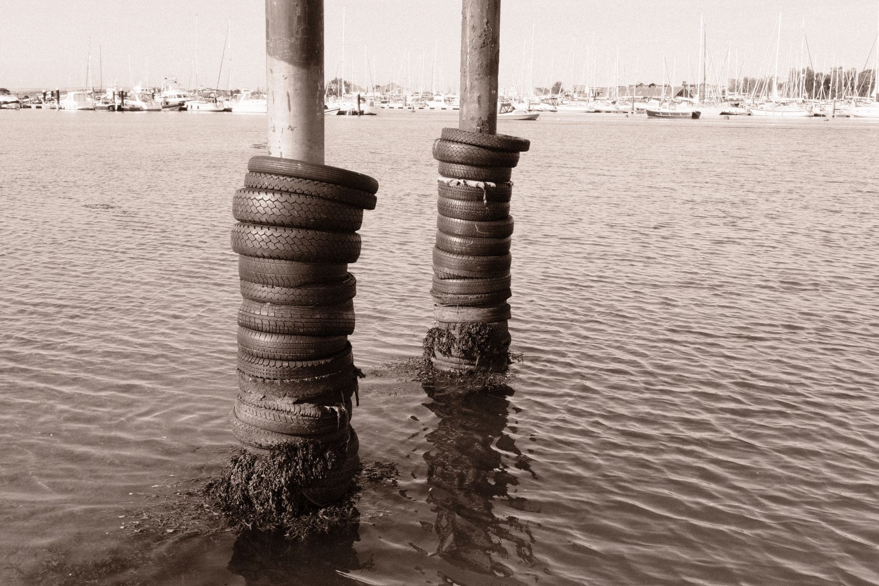 Bromide Mono film recipe sample photo