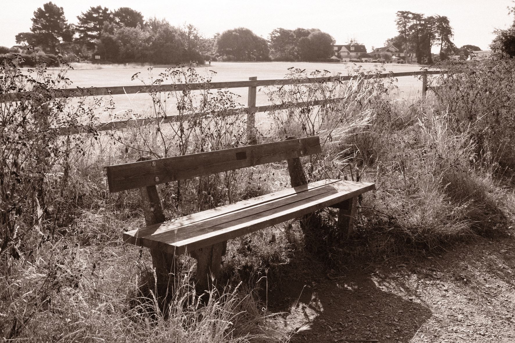 Bromide Mono film recipe sample photo