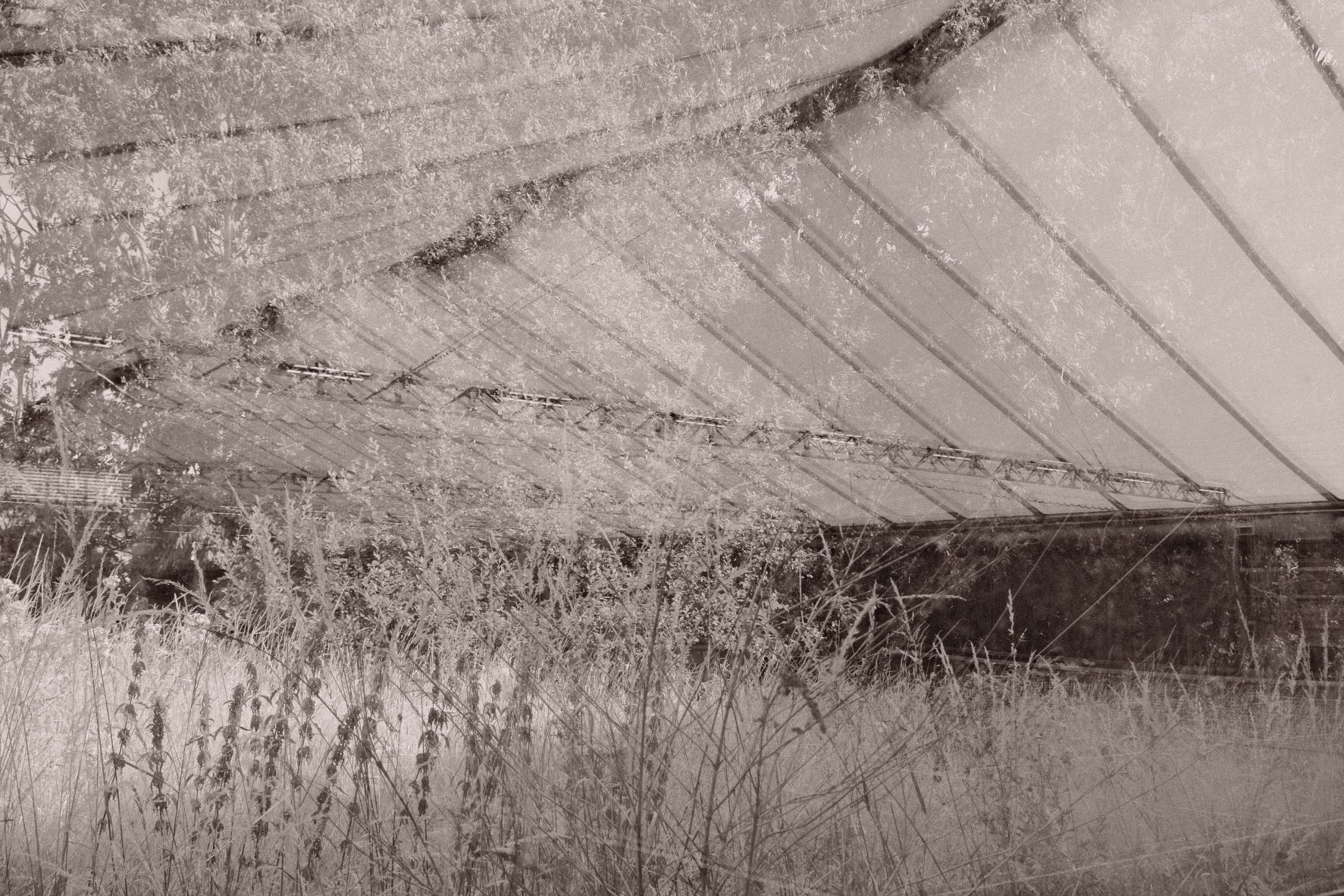 Double Espresso film recipe sample photo