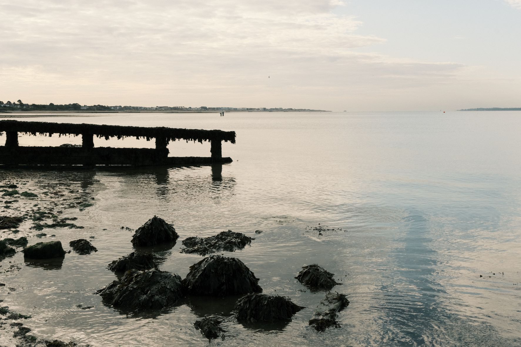 Nostalgic Fujicolor film recipe sample photo