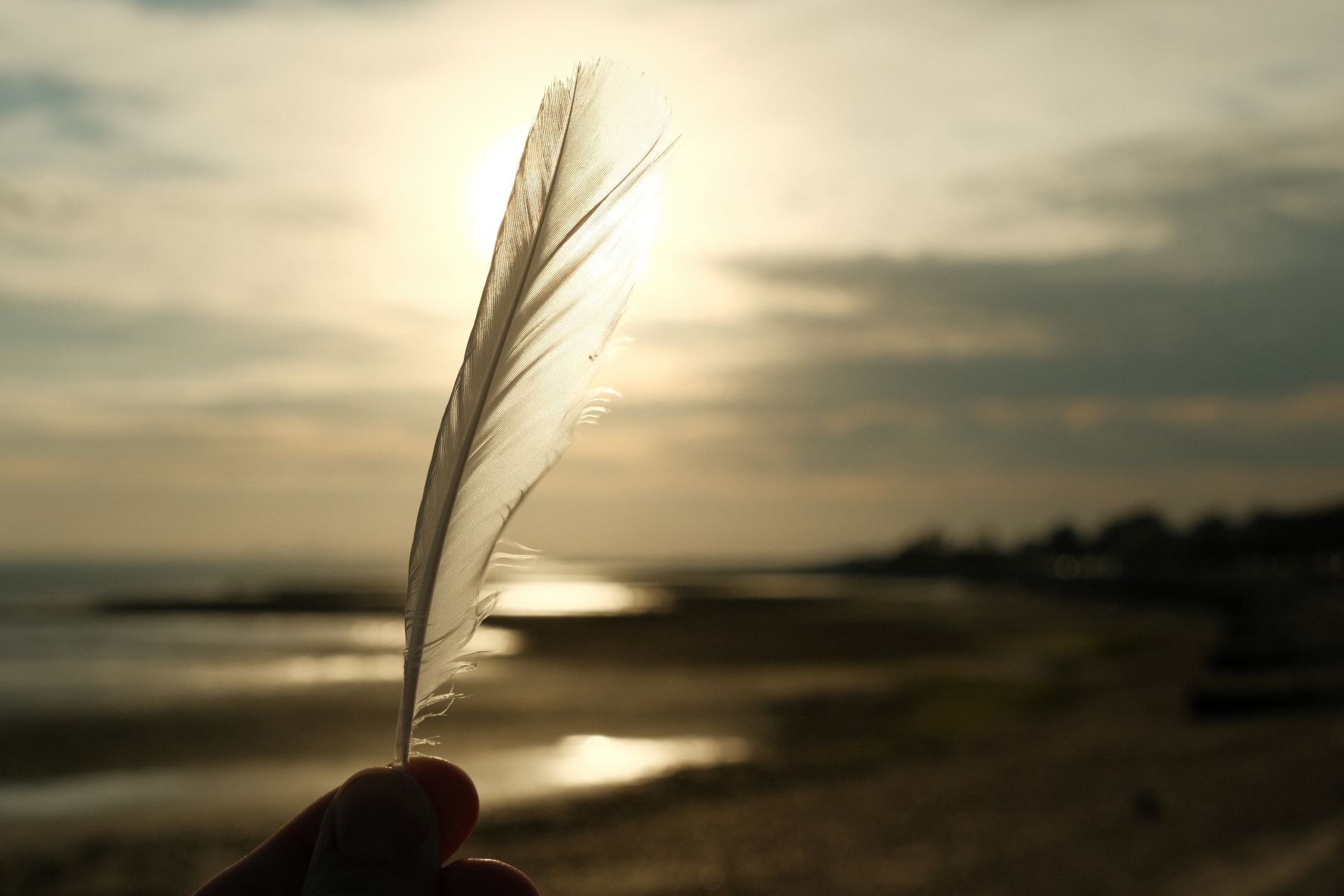 Kodak Portra Daily film recipe sample photo