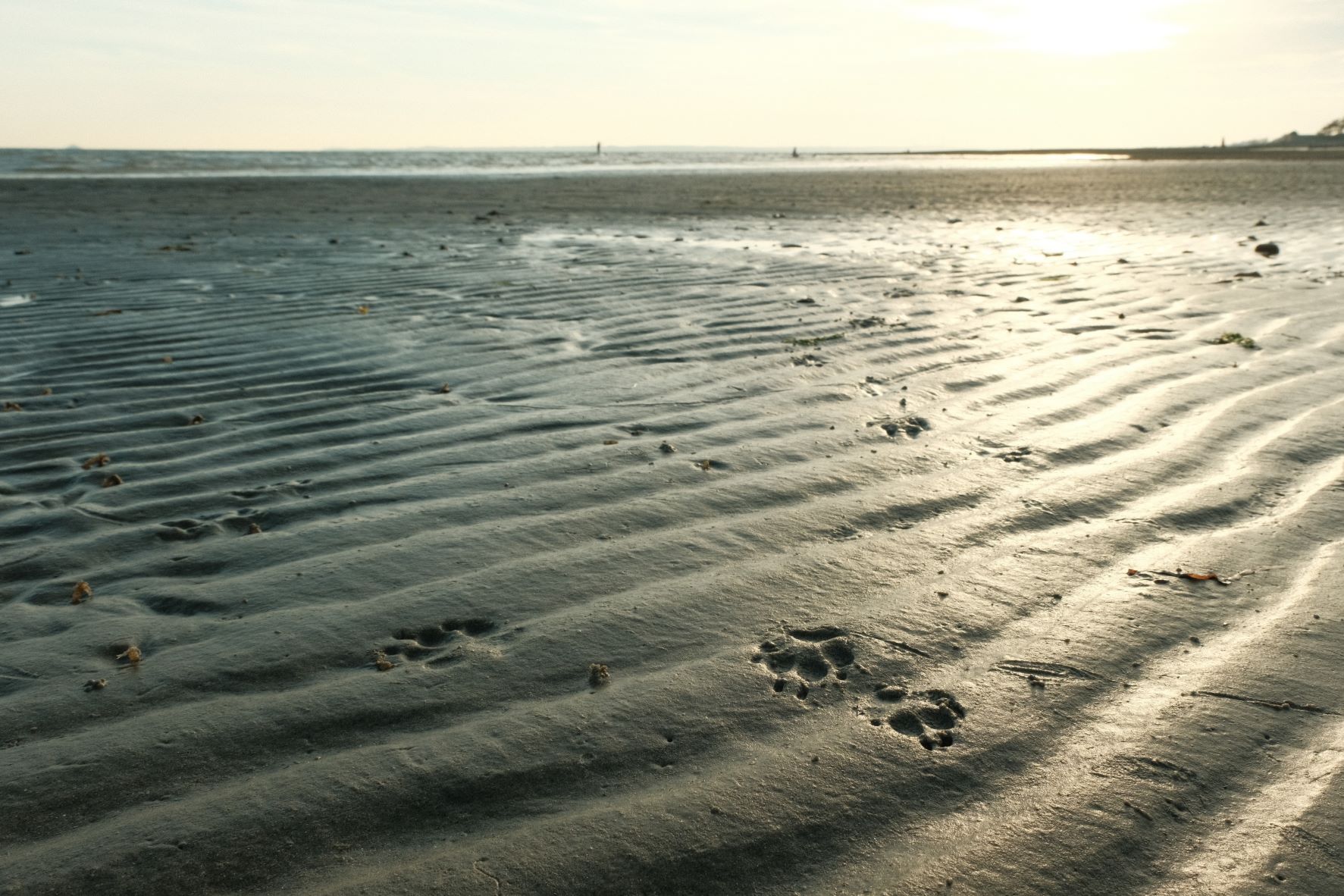 Kodak Portra Daily film recipe sample photo