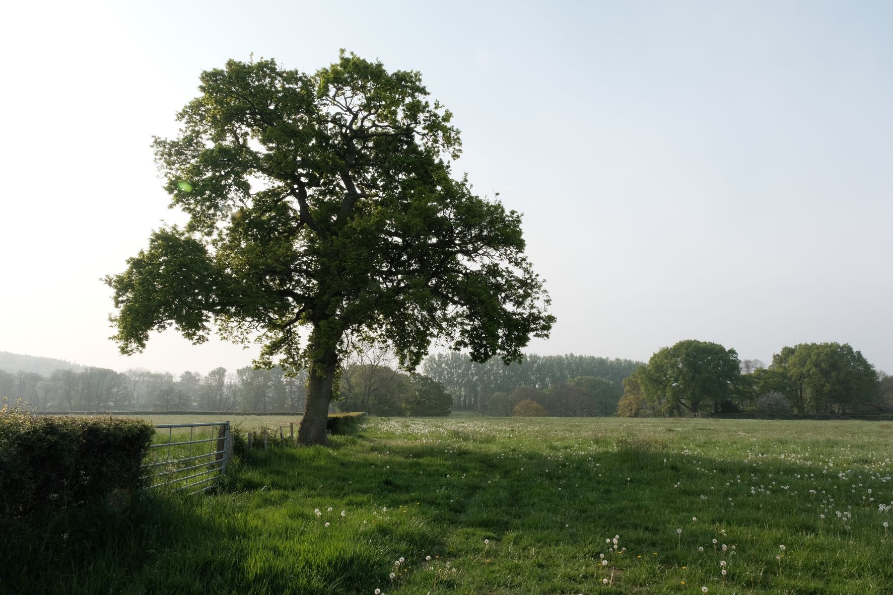 Documentary film recipe sample photo