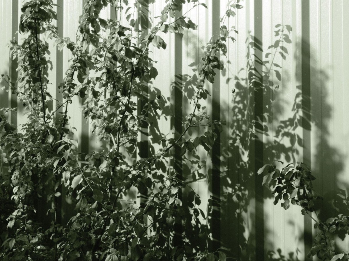 Emerald Mono, a Toned Mono for&nbsp;Nature