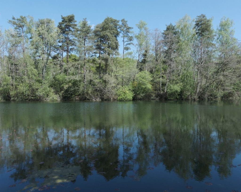 Eterna Lakeside for Boosted Blues &&nbsp;Greens