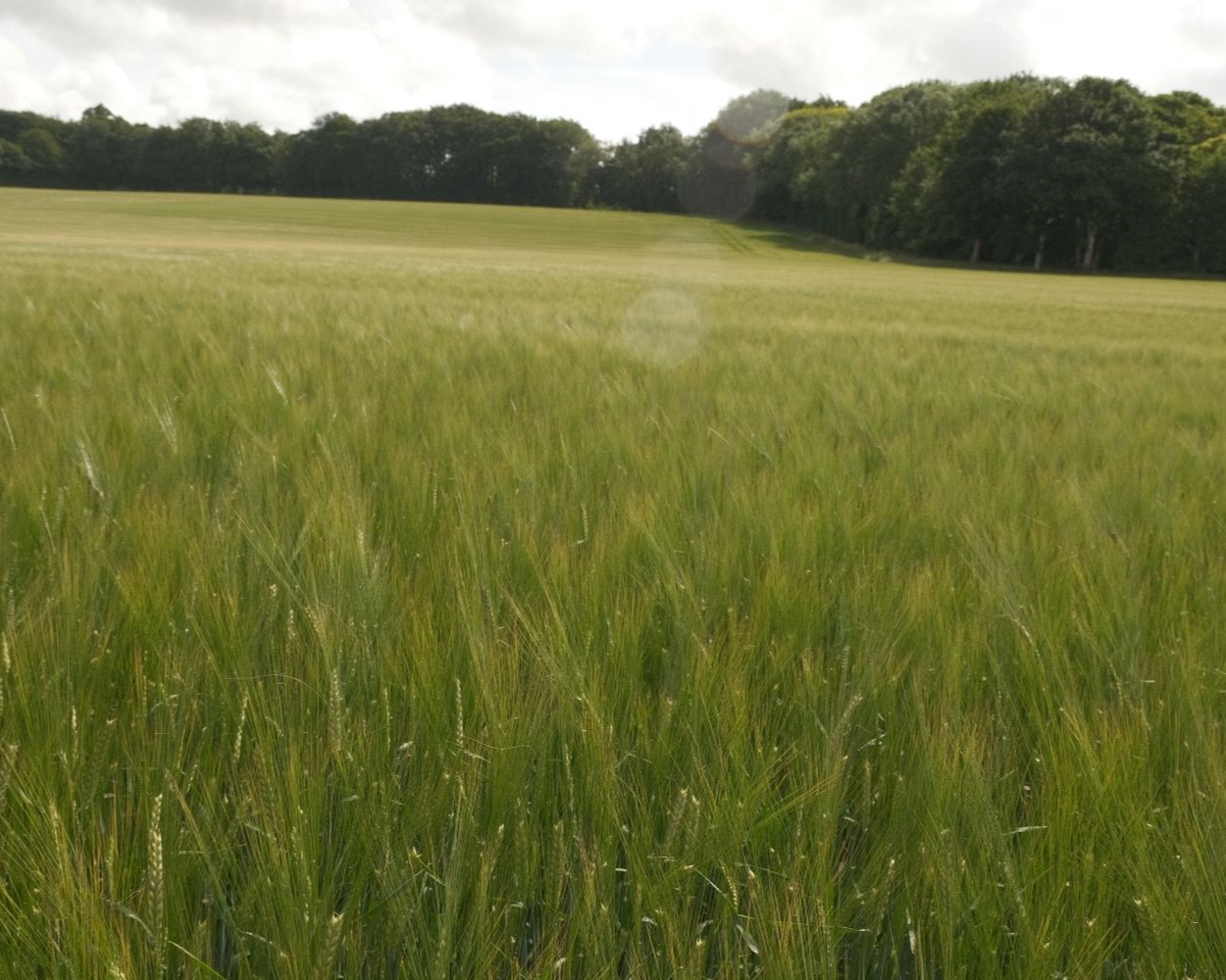 Great Plains, Eterna Recipe for Landscapes