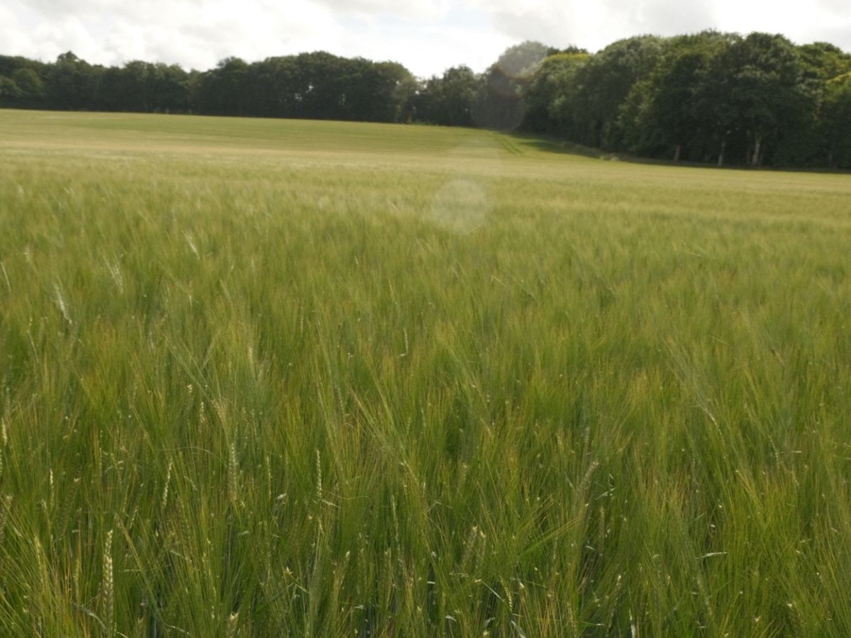 Great Plains, Eterna Recipe for&nbsp;Landscapes