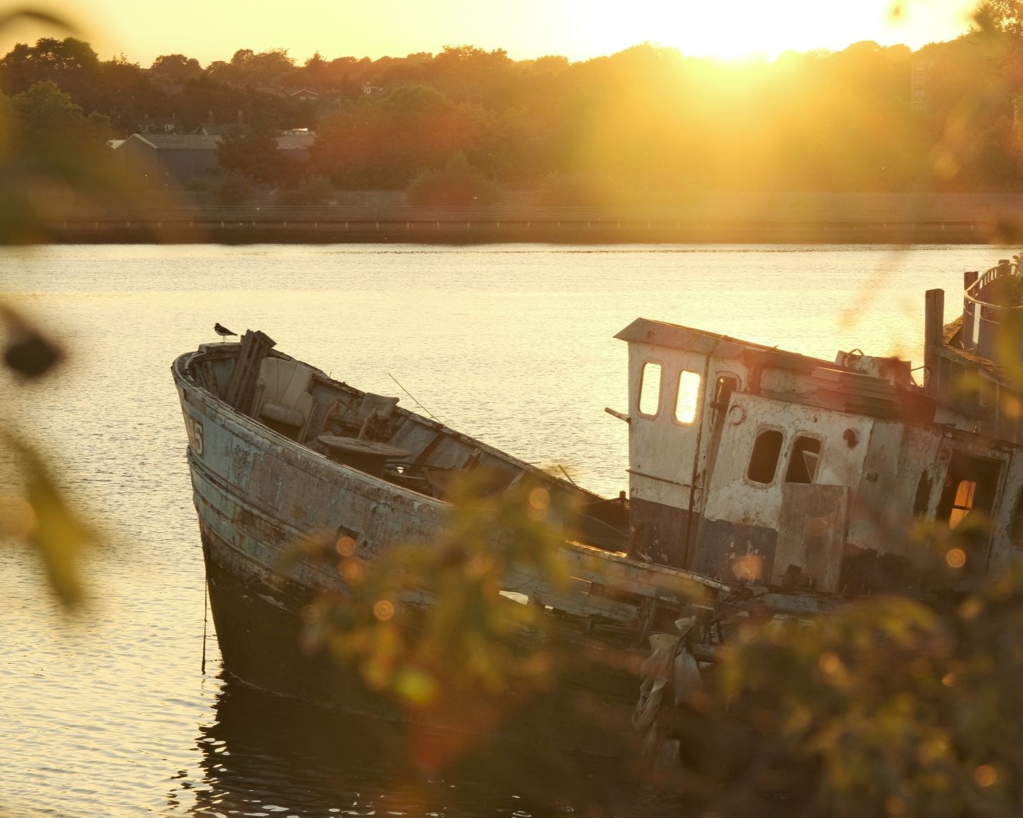 Aged Kodak Portra, for Old Tones 35mm