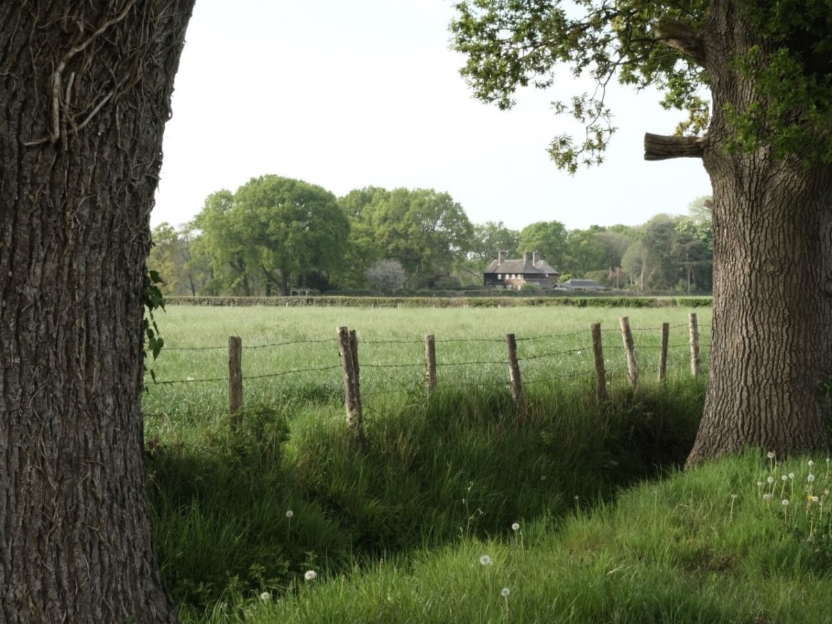 Natural Standard, for Walks in&nbsp;Nature