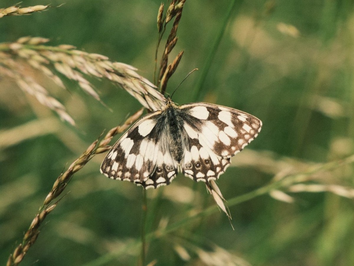 Travel Negative, for Holiday&nbsp;Memories