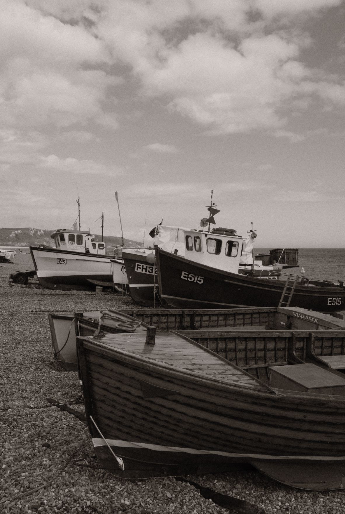 Atarangi Mono film recipe sample photo