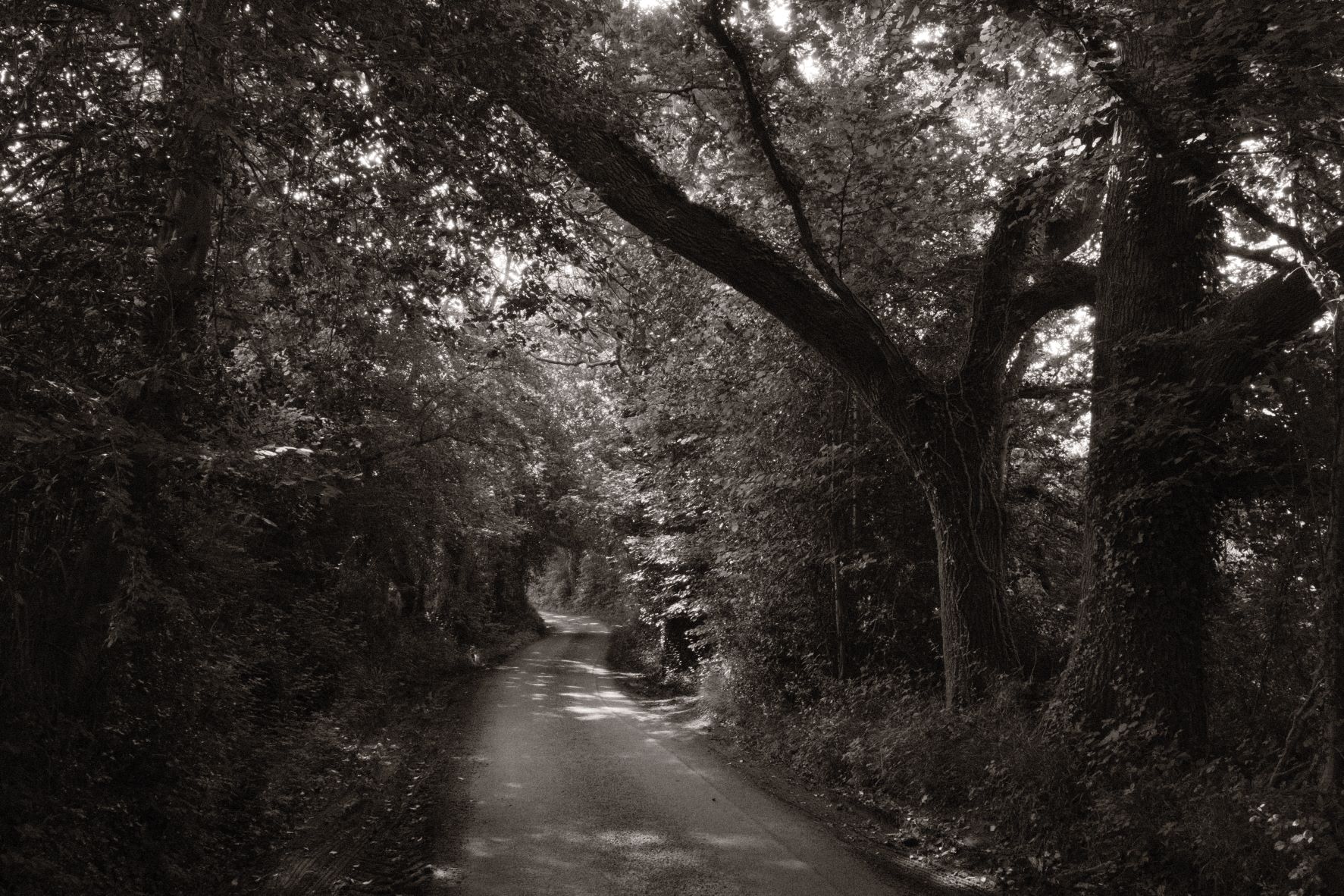 Atarangi Mono film recipe sample photo