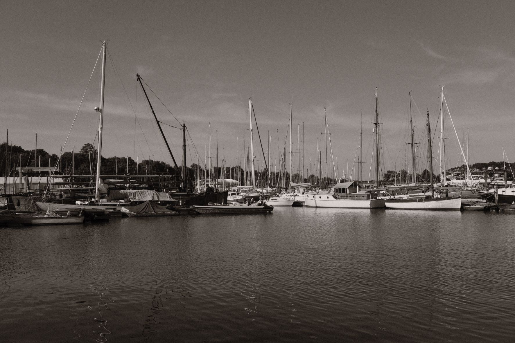 Atarangi Mono film recipe sample photo