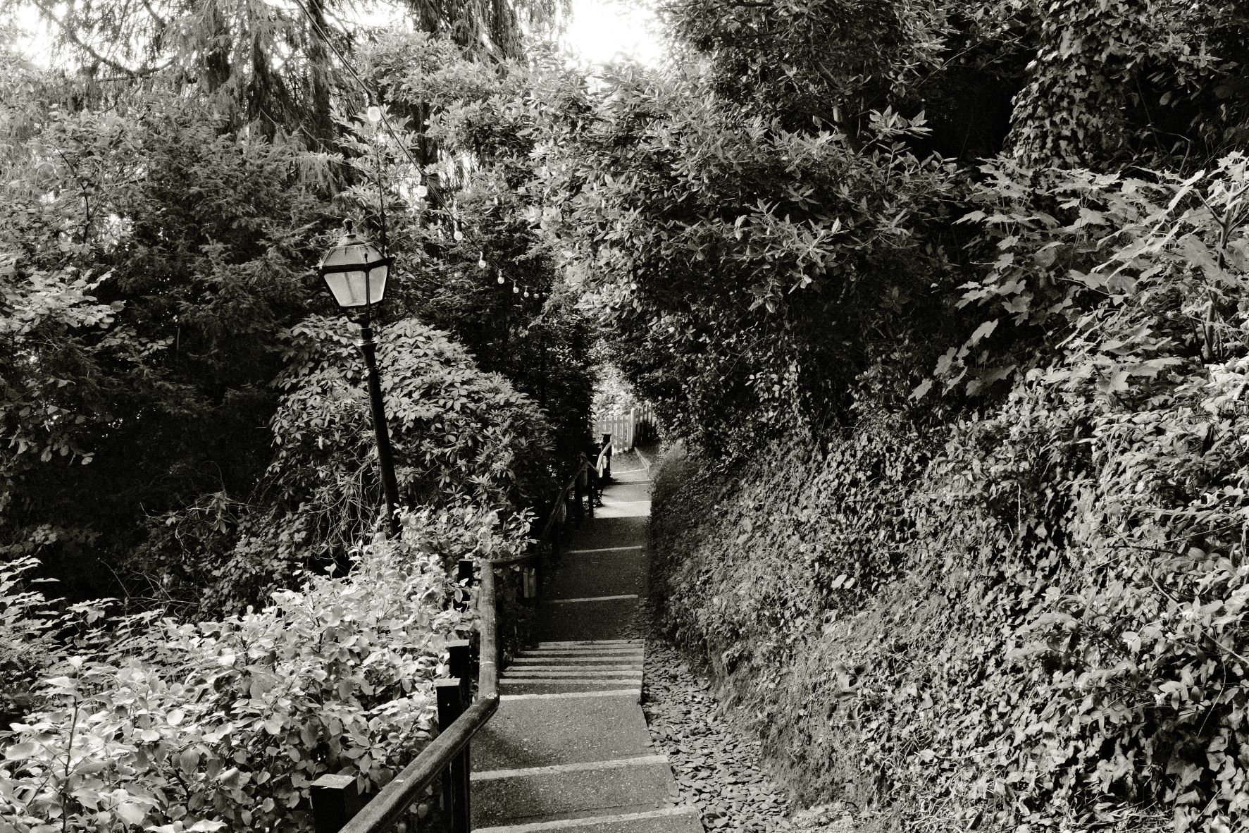 Kodak Tri-X 33 film recipe sample photo