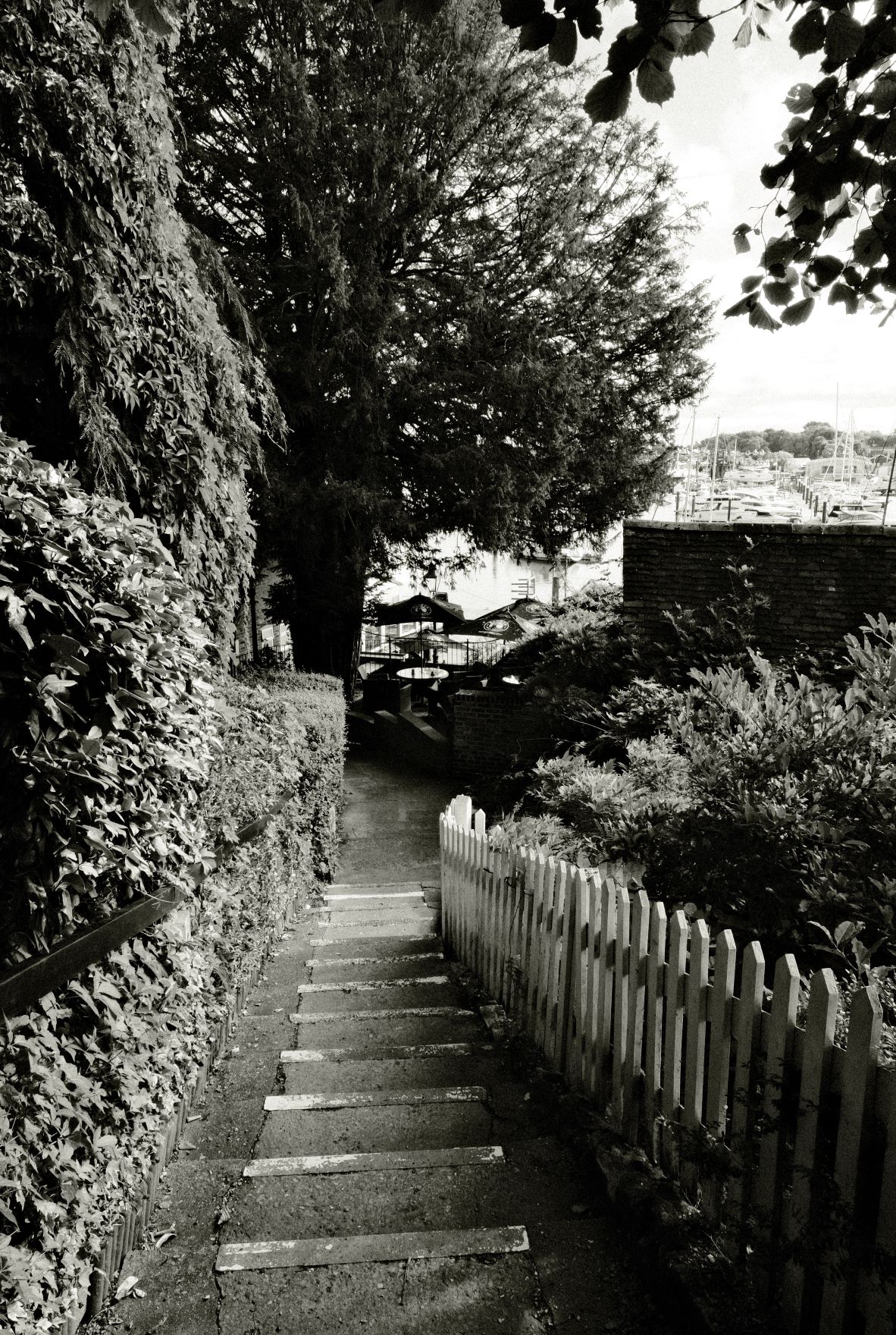 Kodak Tri-X 33 film recipe sample photo