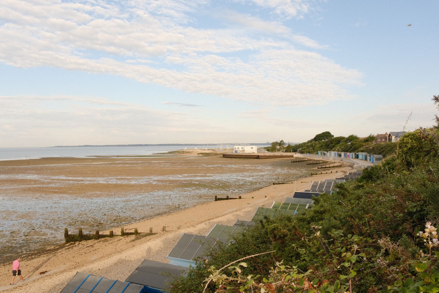 Astia Mellow film recipe sample photo