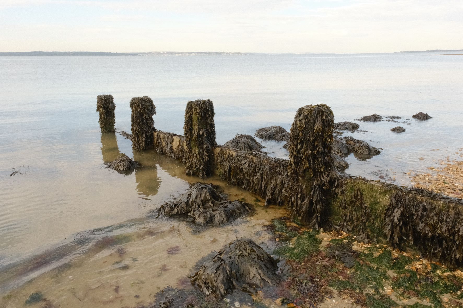 Astia Mellow film recipe sample photo