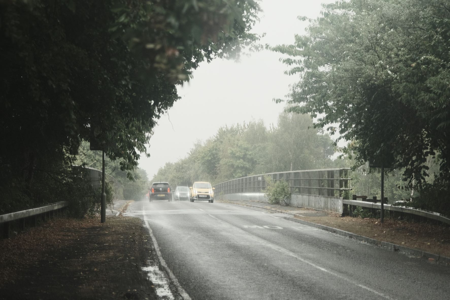 Cinematic Cool film recipe sample photo