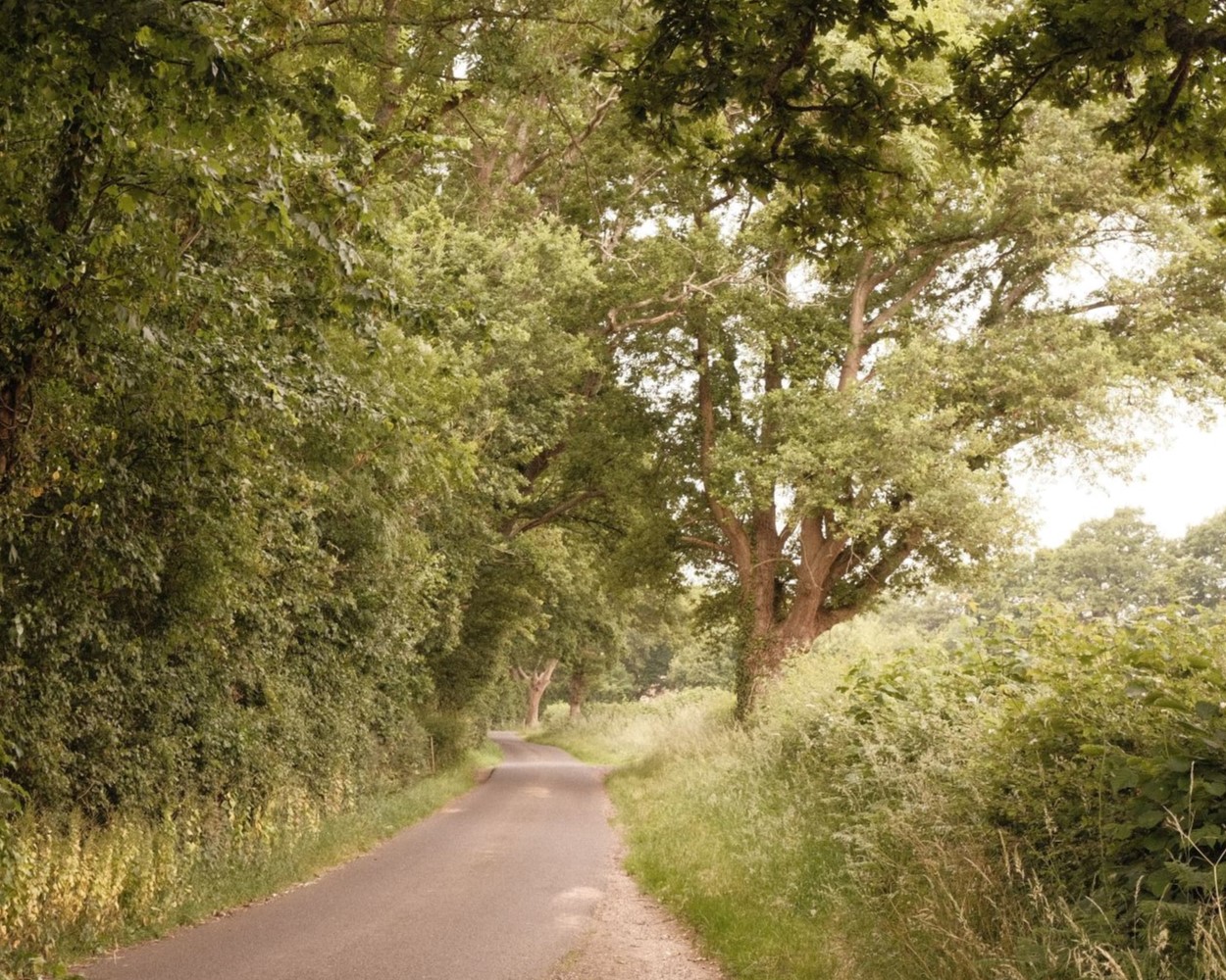 Muted Gold, for Warm Nostalgic Images