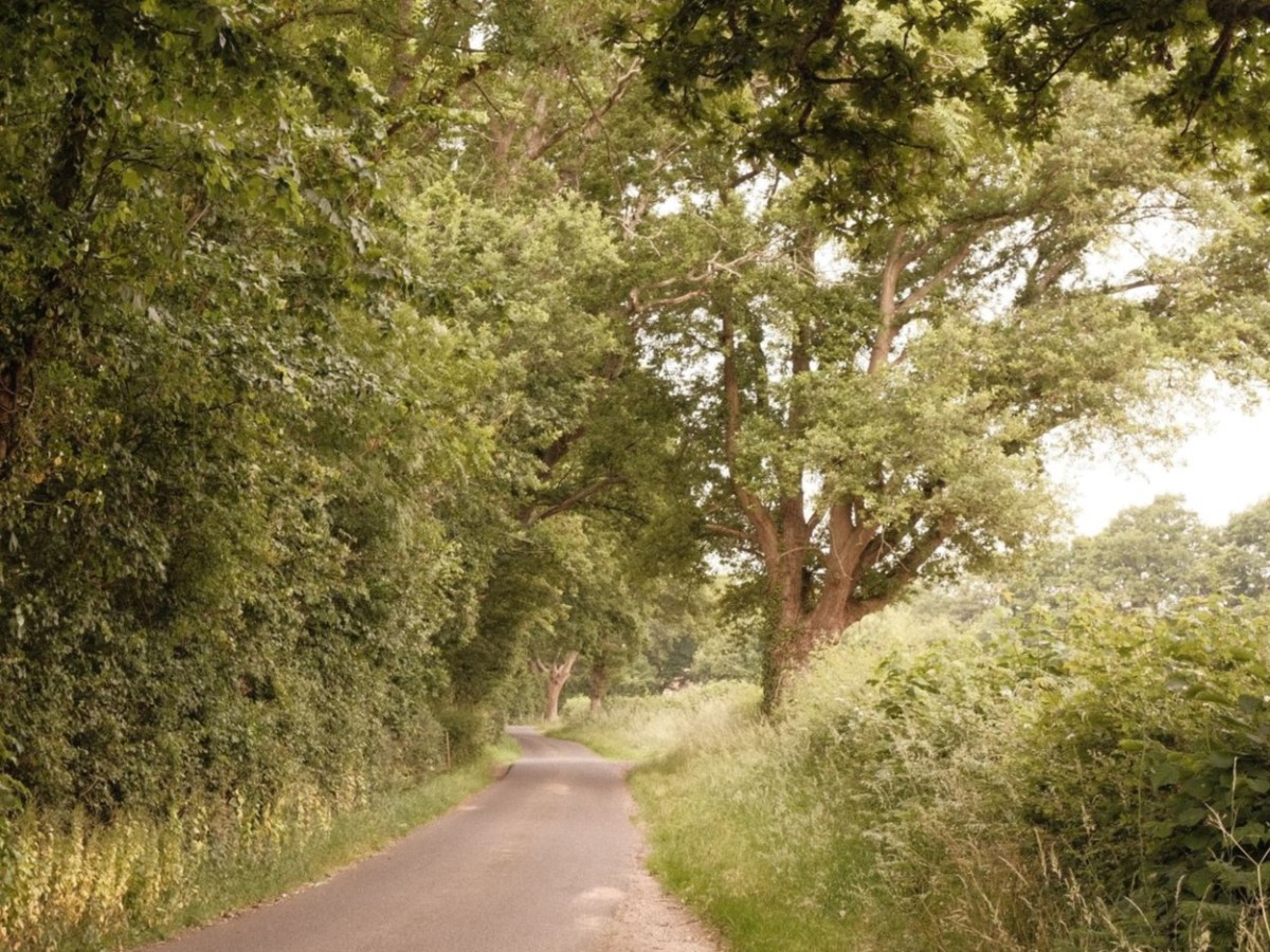 Muted Gold, for Warm Nostalgic&nbsp;Images