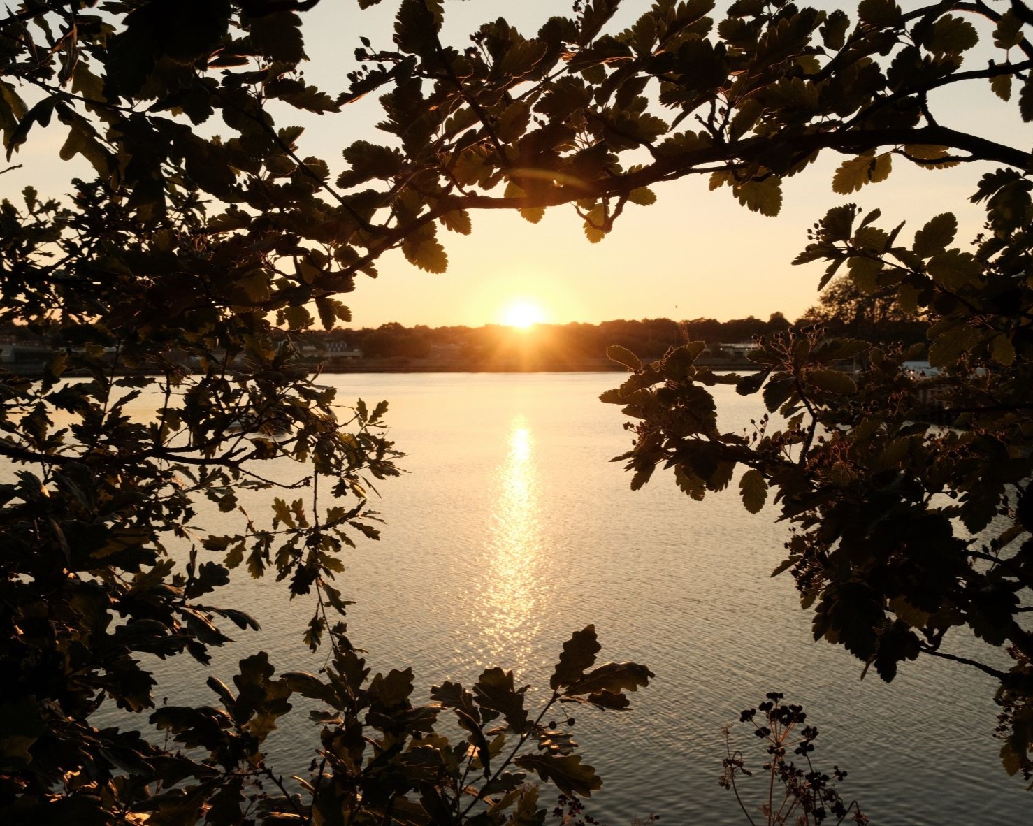 Toasty Chrome, Warm & Retro Chrome