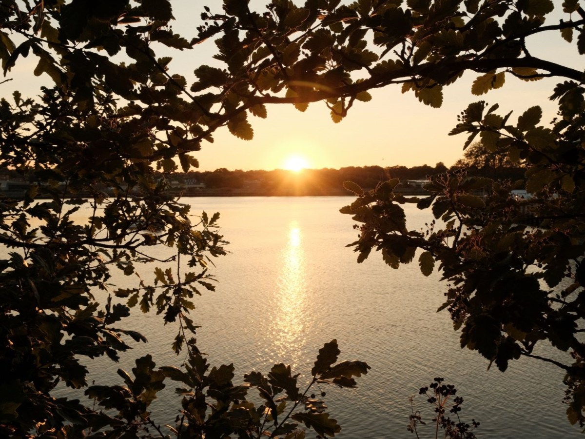 Toasty Chrome, Warm & Retro&nbsp;Chrome