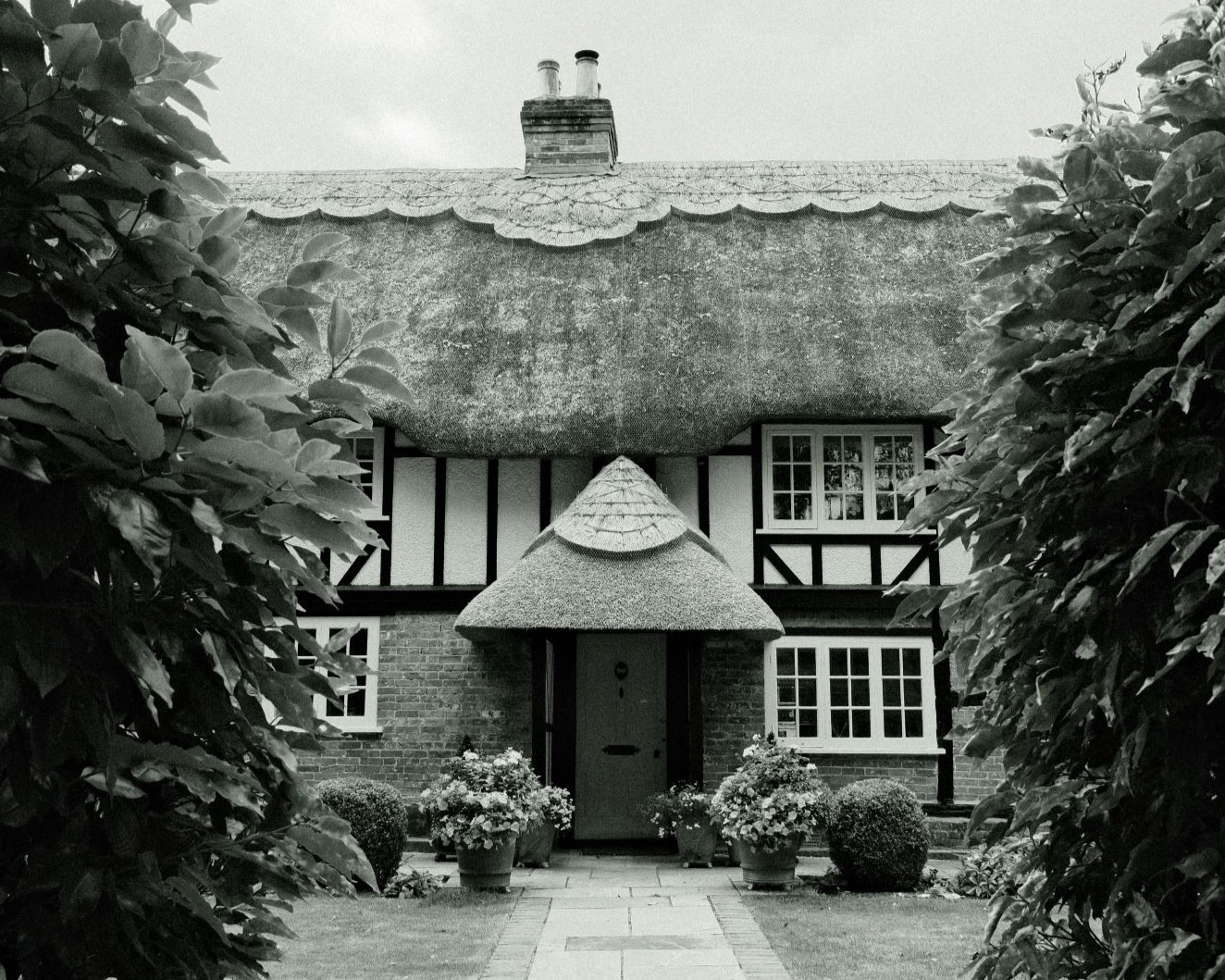 Wilford HG, Mono with Heavy Grain