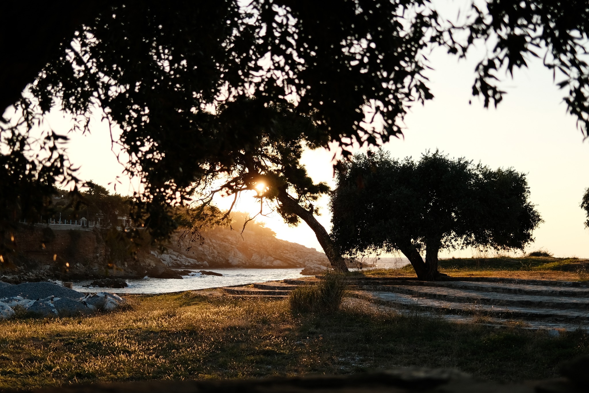 Thassos 22 film recipe sample photo
