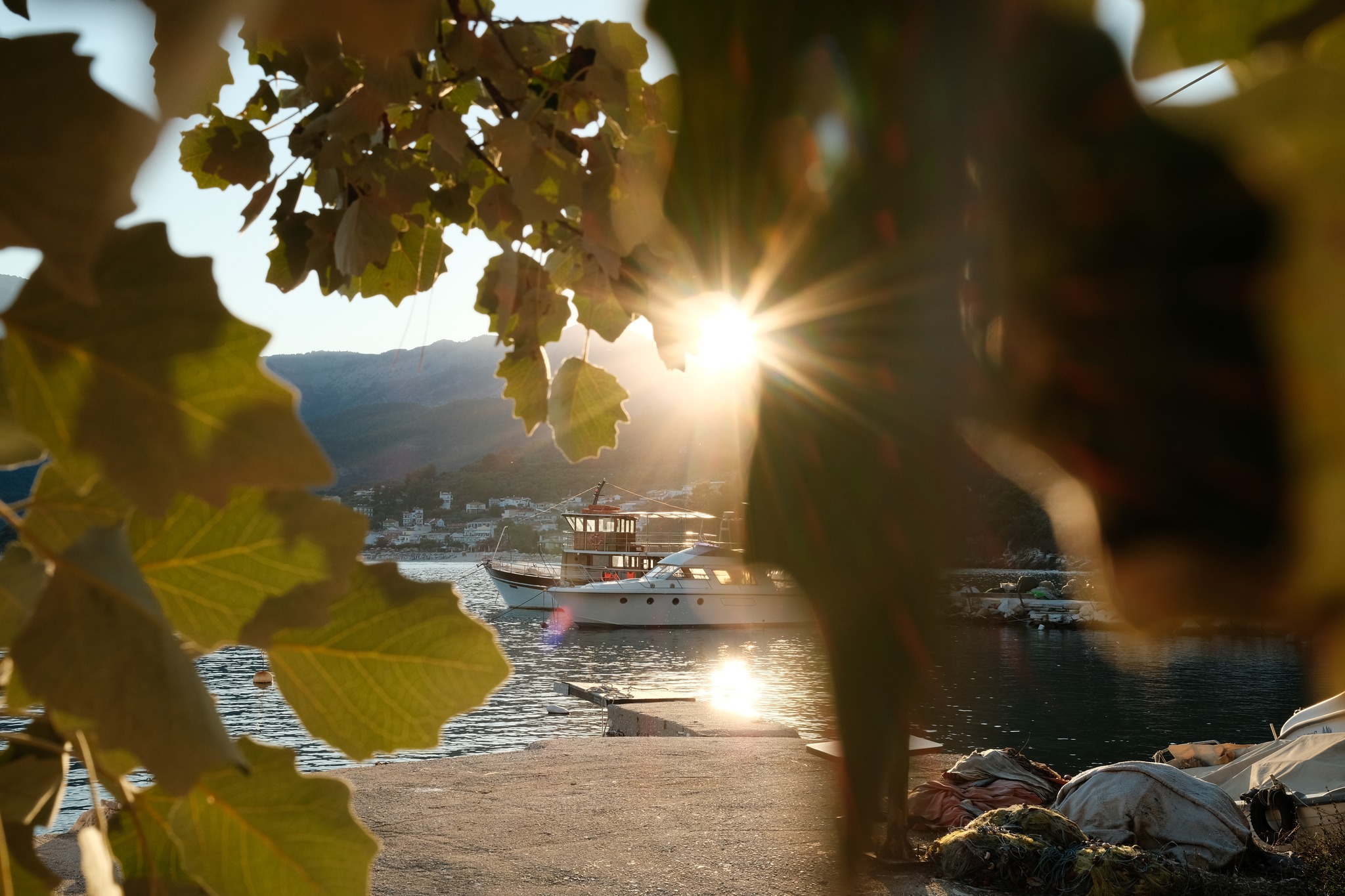 Thassos 22 film recipe sample photo