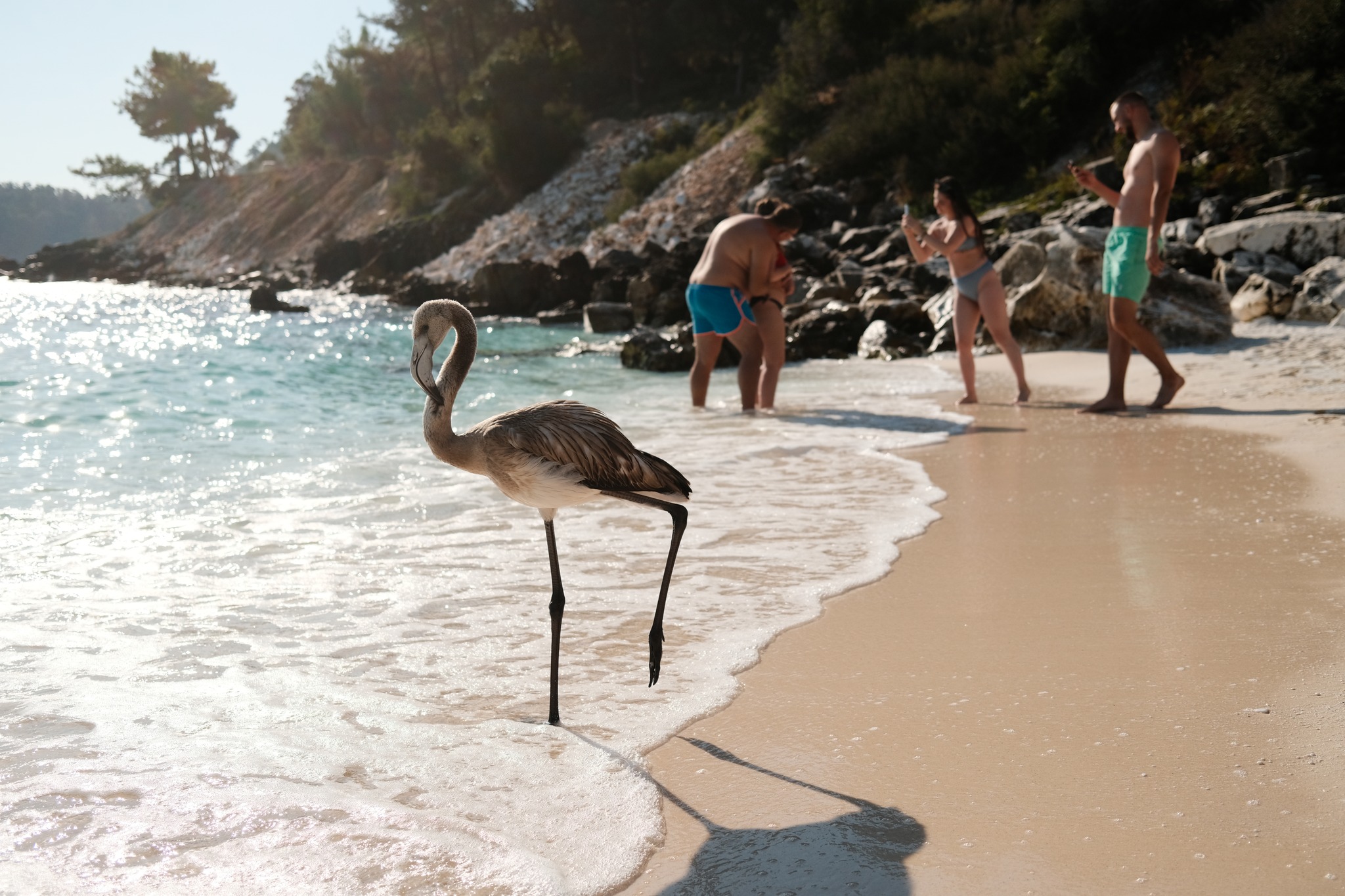 Thassos 22 film recipe sample photo