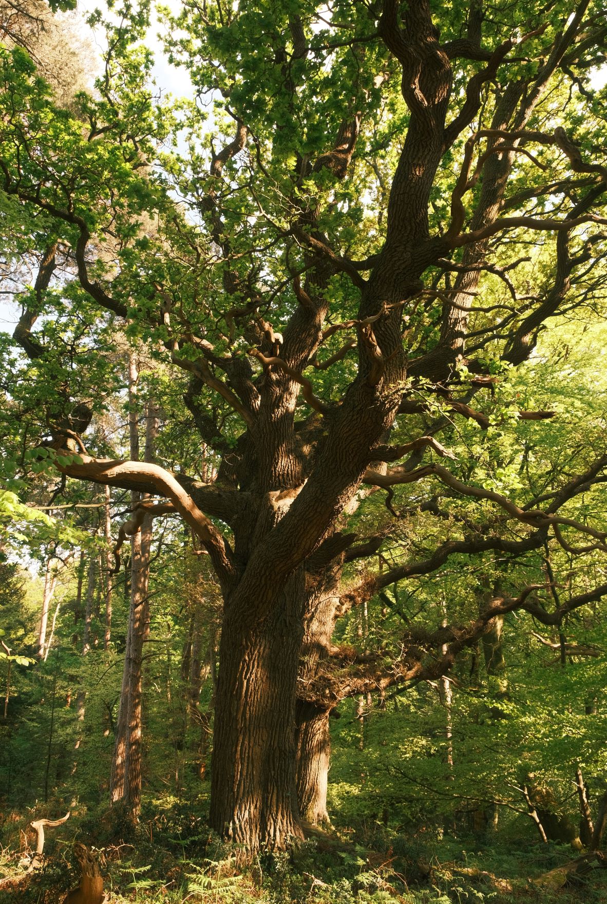 Parklife film recipe sample photo