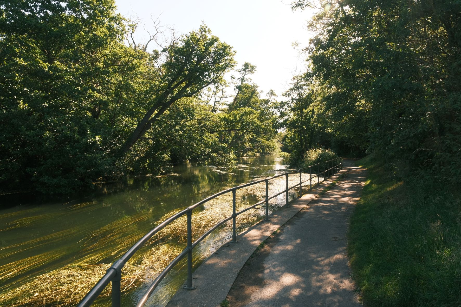 Parklife film recipe sample photo