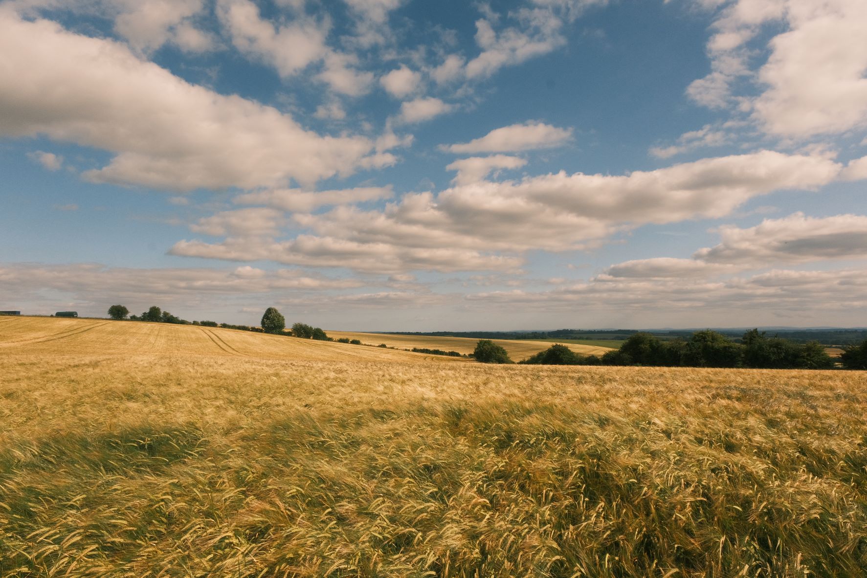 Parklife film recipe sample photo