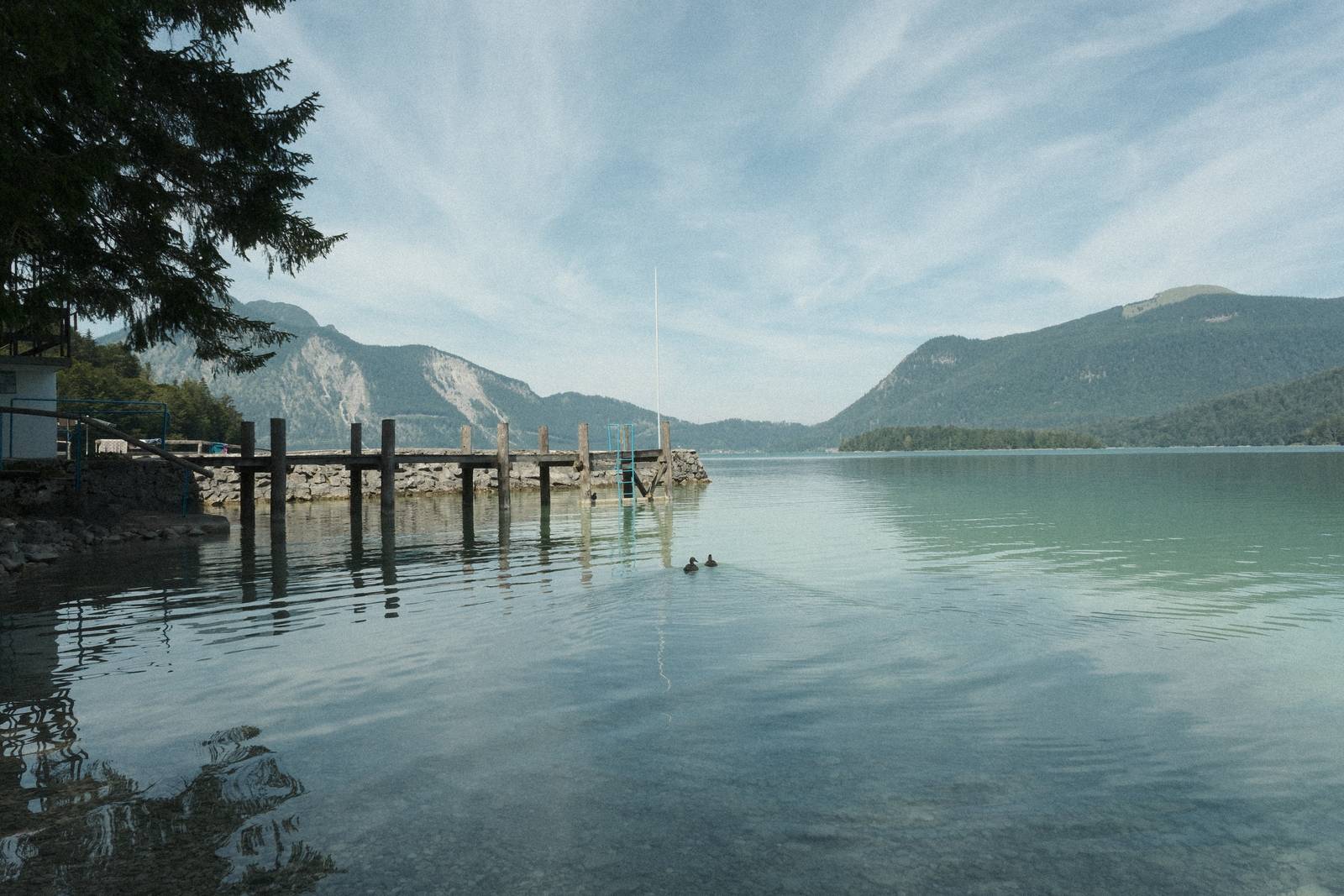 CineStill Daylight film recipe sample photo