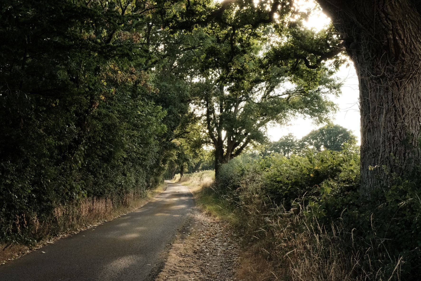 Kodak Like its 1975 film recipe sample photo