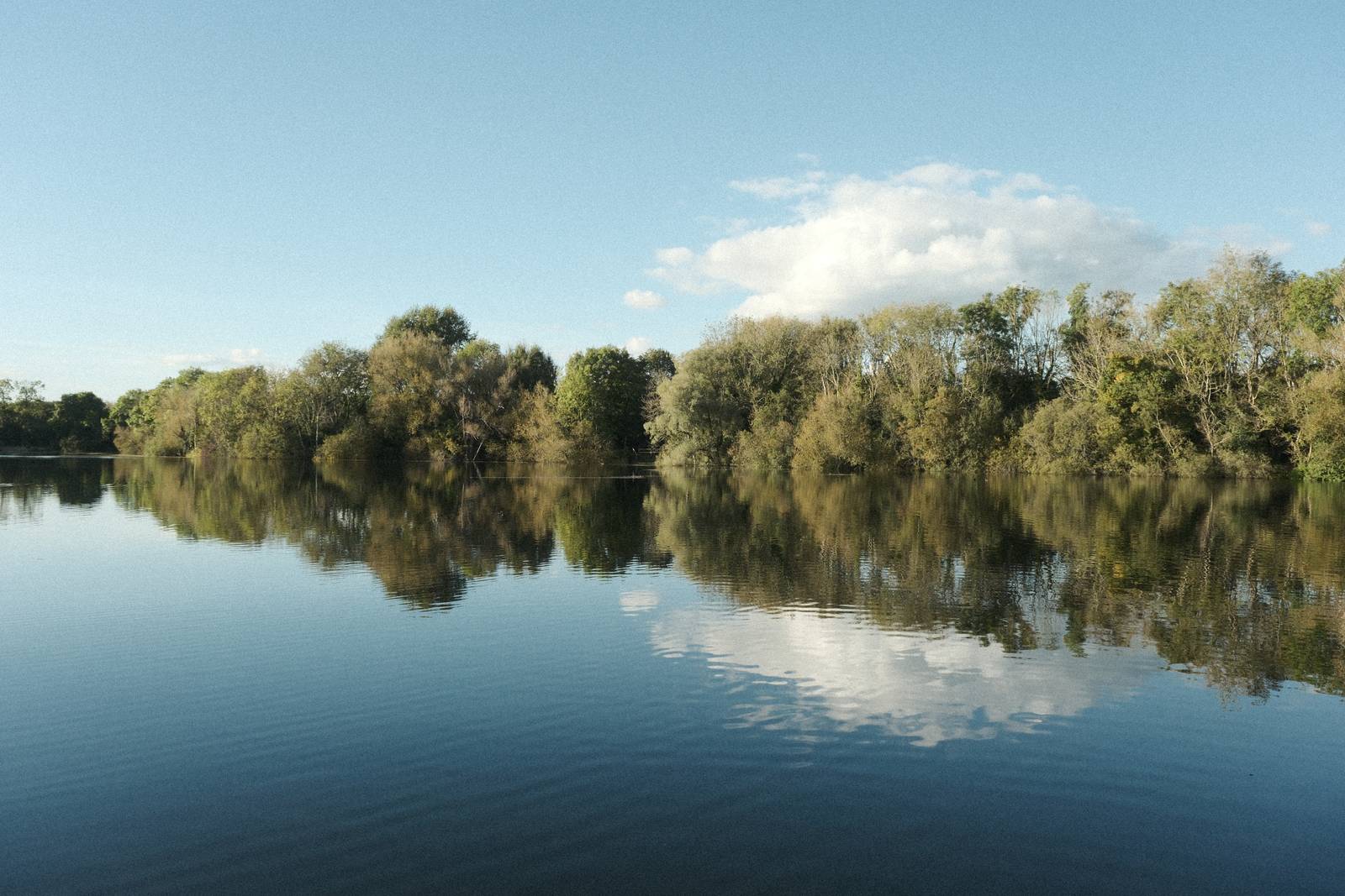 CineStill Daylight film recipe sample photo